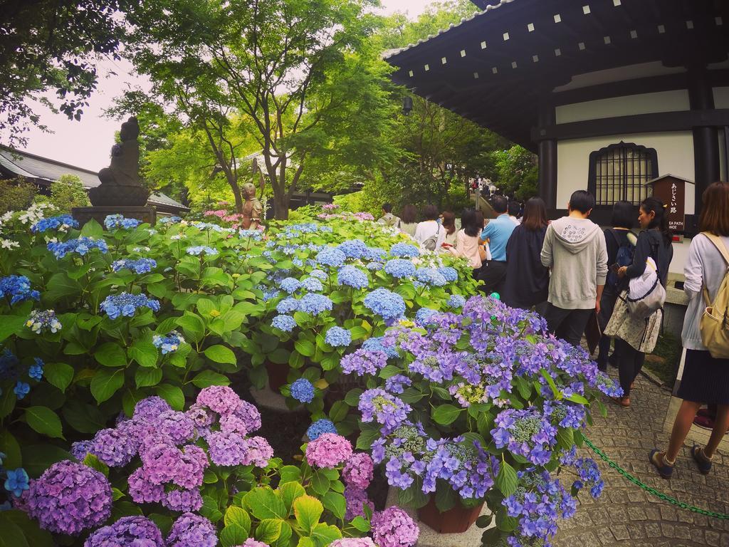 IZA Kamakura Guest House&Bar Bagian luar foto